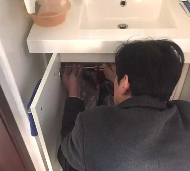 無(wú)錫紫蘋果裝飾