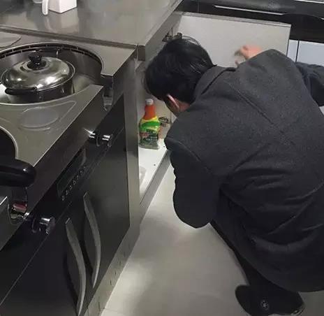 無(wú)錫紫蘋果裝飾