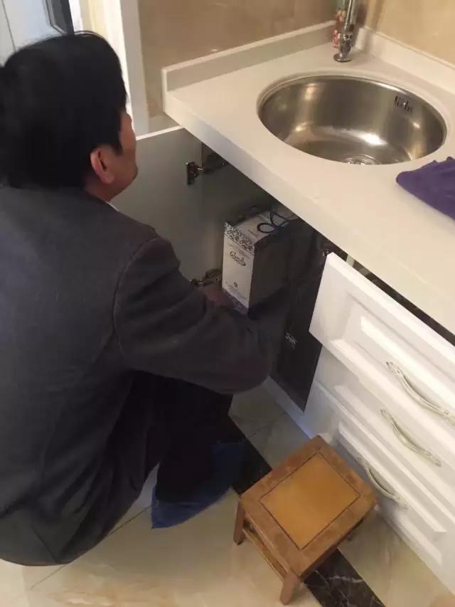 無(wú)錫紫蘋果裝飾