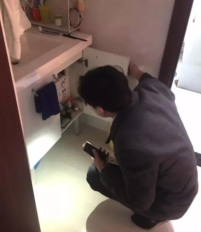 無(wú)錫紫蘋果裝飾