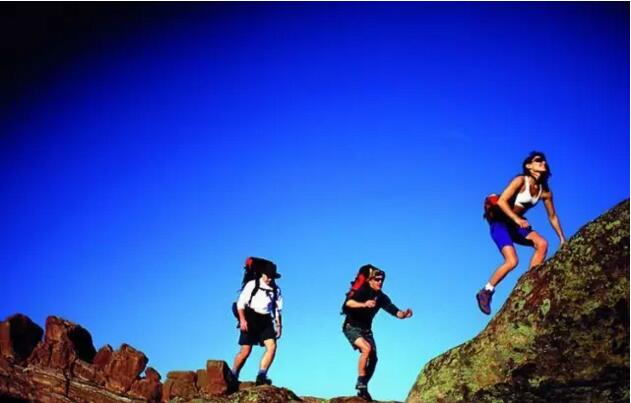 無(wú)錫紫蘋果裝飾