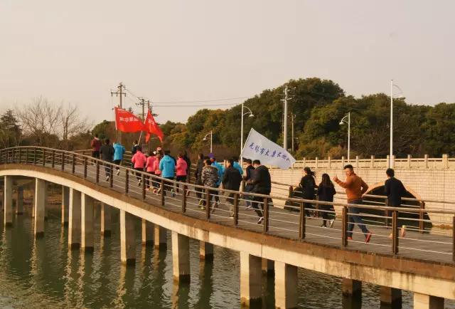 無錫紫蘋果裝飾